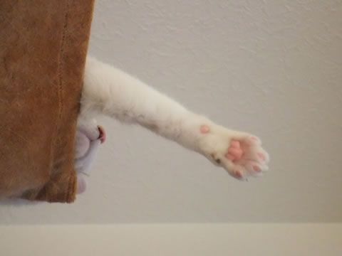 2014-0923-7.jpg