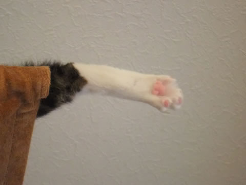 2014-0923-8.jpg