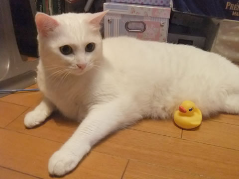 2014-1004-5.jpg