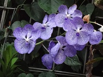 5_20131202120243157.jpg