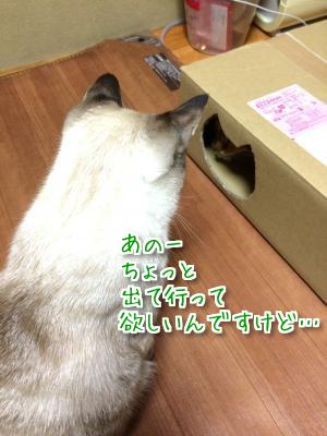 同じ箱なのに