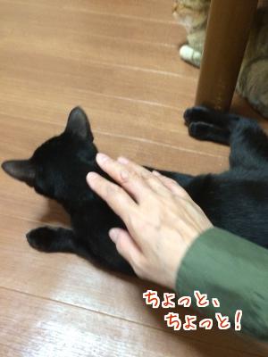 やつあたり