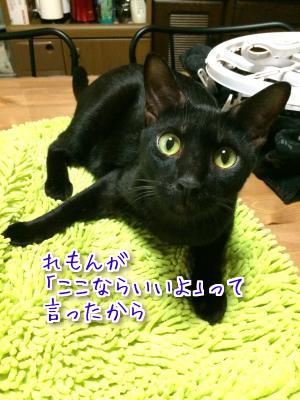 お仕事