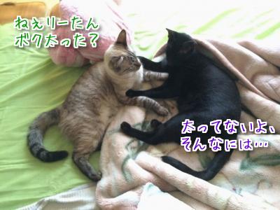 同じ箱なのに