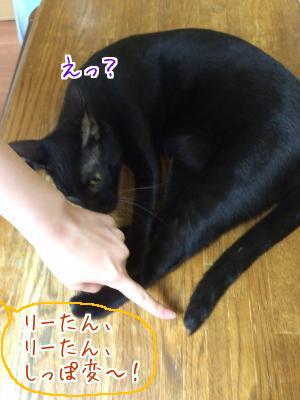 やつあたり