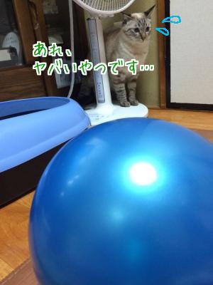 怯える