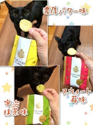 またハゲ