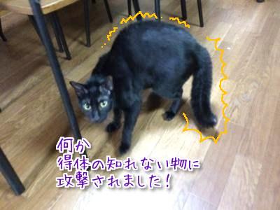 とばっちり