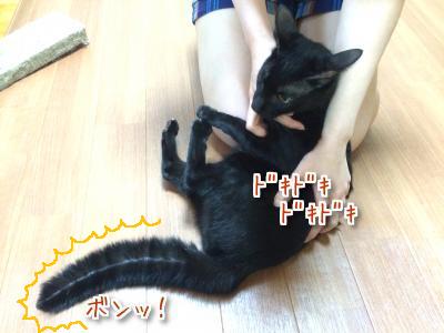 とばっちり