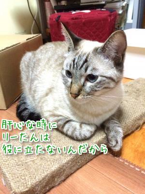 4Y1QTbCYg86QuwY1411458478_1411458552.jpg
