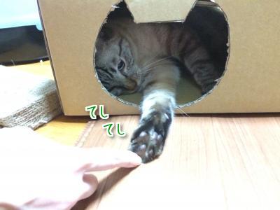 同じ箱なのに