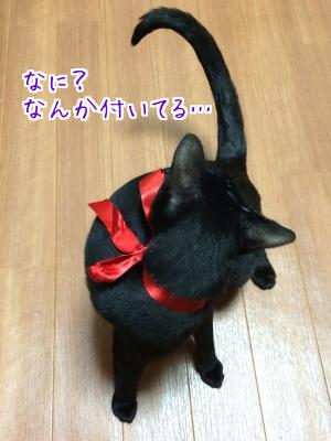 黒猫と言えば