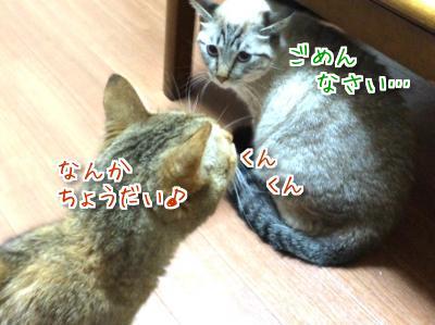 とばっちり