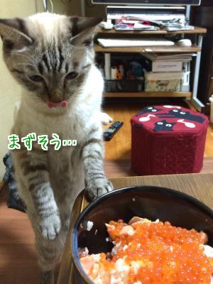 不評