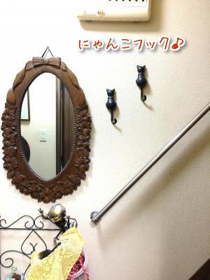 IJYw1tqJoqXlc331411457770_1411458054.jpg