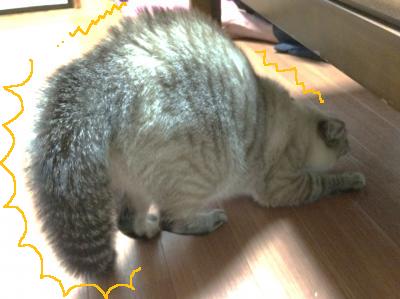 とばっちり