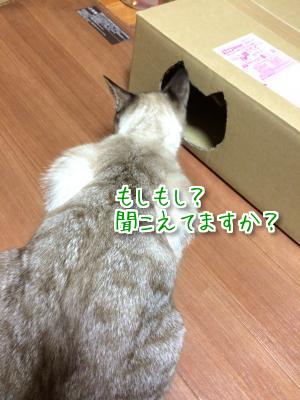 同じ箱なのに