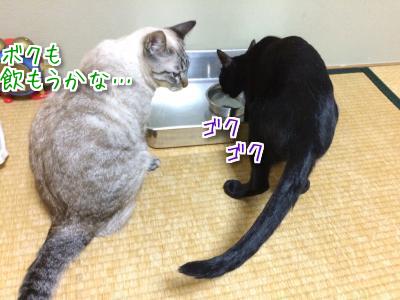 ぐったり