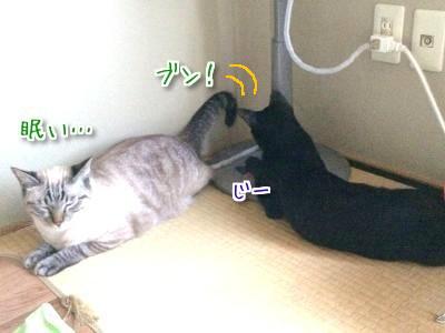 素敵に