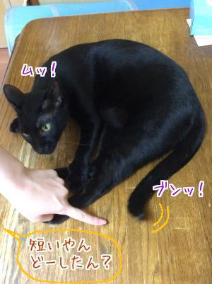 やつあたり