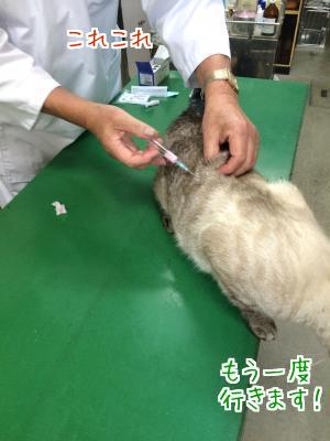 3種混合