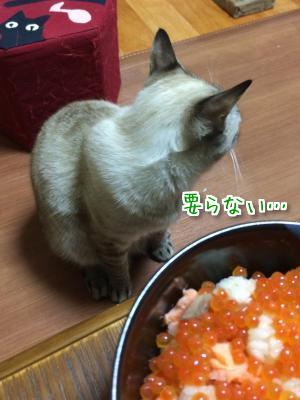 不評