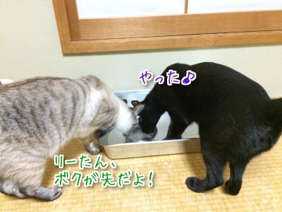 美味しい水