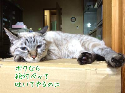 素直
