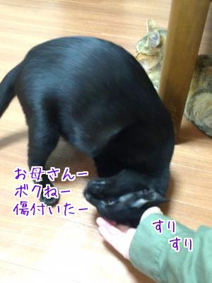 やつあたり