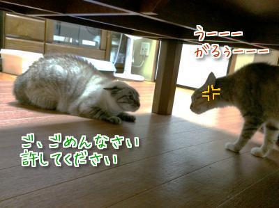 とばっちり