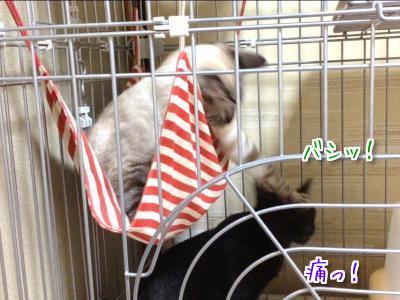 しつこい