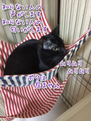 広報担当