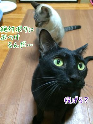 怯える