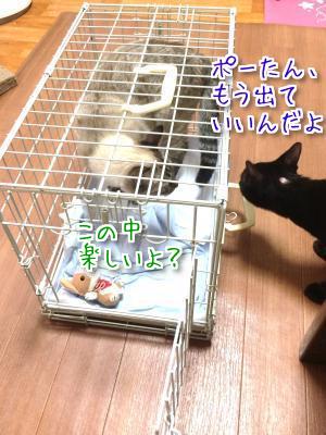 3種混合