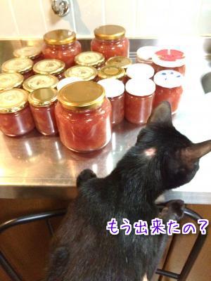 秋♪