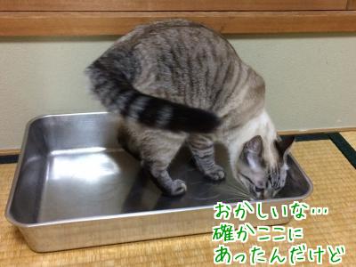 美味しい水