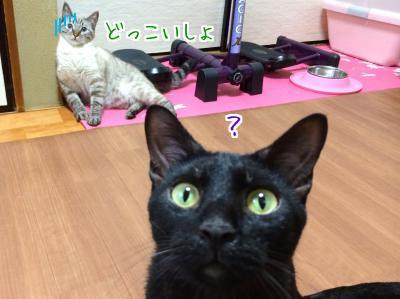 怯える
