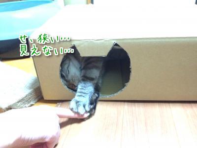 同じ箱なのに