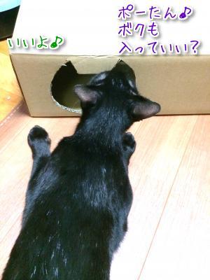 同じ箱なのに