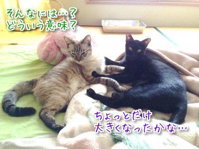 同じ箱なのに