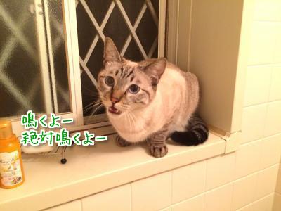 お風呂