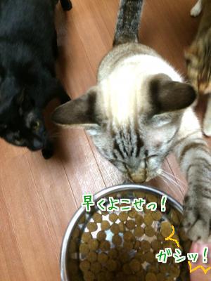 ぐったり