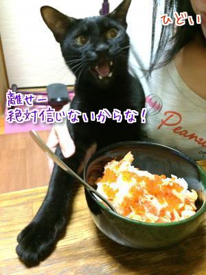 不評