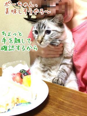 好み