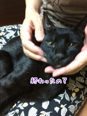 素直