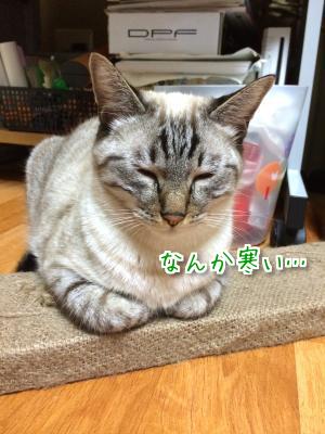秋♪