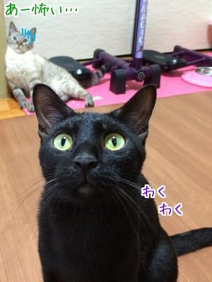 怯える