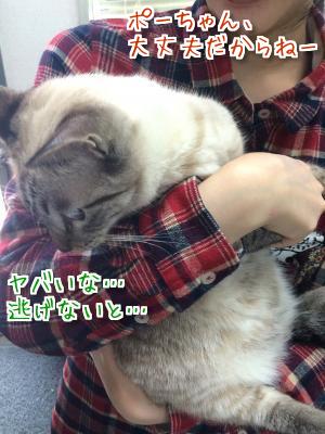 3種混合