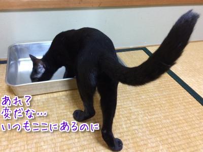 美味しい水