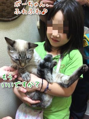 vxmIeKo43s5ZWL81411457148_1411457445.jpg